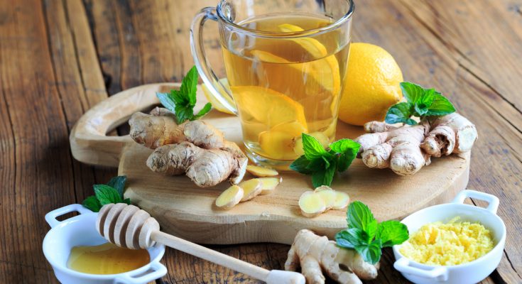 Glas Ingwertee mit Zitronenscheiben, frischem Ingwer, Minze und Honig auf einem Holzbrett.