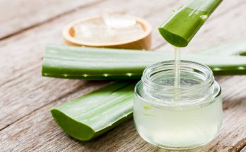Aloe-Vera-Gel wird aus einem frisch geschnittenen Aloe-Vera-Blatt in ein kleines Glas gefüllt, umgeben von mehreren grünen Blattstücken auf einem Holztisch.