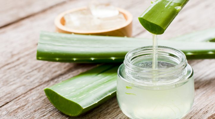 Aloe-Vera-Gel wird aus einem frisch geschnittenen Aloe-Vera-Blatt in ein kleines Glas gefüllt, umgeben von mehreren grünen Blattstücken auf einem Holztisch.